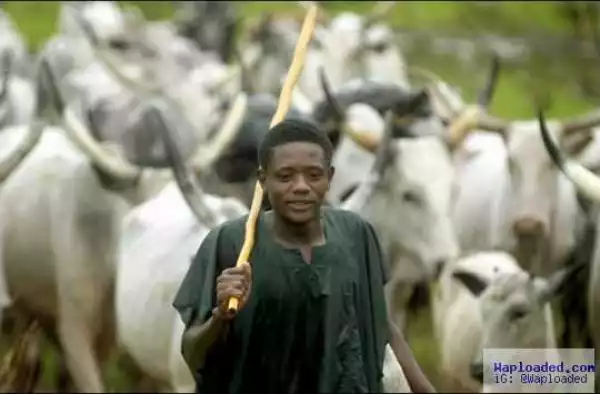 Leave Our State Or Die!!! Delta Monarch Draws Battle Line Between His People & Fulani Herdsmen